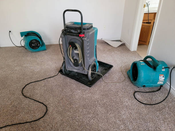 Best Flood damage cleanup  in Sherrill, NY