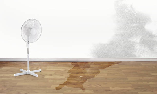 Best Residential water damage restoration  in Sherrill, NY