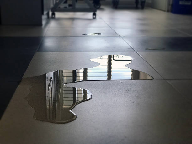 Best Water damage contractors near me  in Sherrill, NY