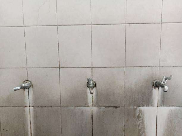Best Ceiling water damage repair  in Sherrill, NY