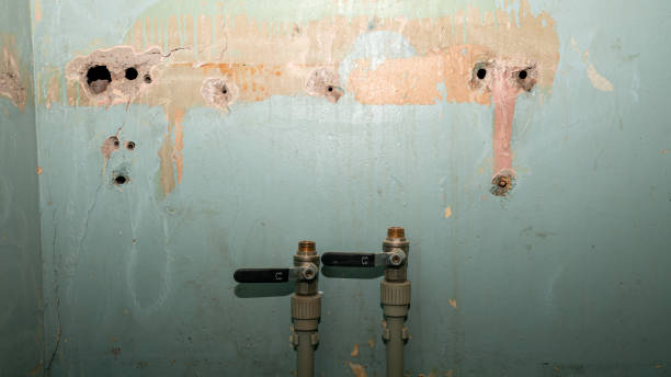 Best Flood damage cleanup  in Sherrill, NY
